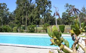 Casa Penina